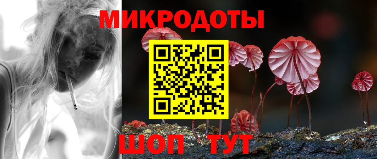 Галлюциногенные грибы Psilocybine cubensis Донской
